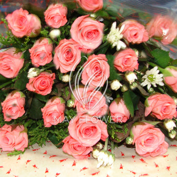 Pink Passion!